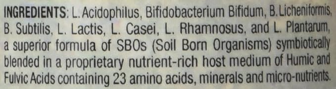 Body Biotics Bio-Identical SBO Probiotics Consortia, Probiotic and Prebiotic Supplement, Non-Dairy, 90 Capsules