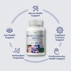 VHC Vitamin B1 Benfotiamine 600mg Supplement- 5X Time Fat-Soluble Thiamine Vitamin B1- Max Boost Bioavailable Thiamine B1 Levels Veggie Capsules,Non-GMO, Soy Free- Made in USA (240 Counts)