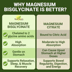 New Roots Herbal Magnesium Bisglycinate Plus, 120 Veggie Capsules 60-Day Supply - 150mg Elemental Magnesium, Supports Active Living, Non-GMO, Gluten-Free, Gentle on Digestion with Superior Absorption