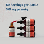 Live Conscious Vegan Vitamin B12 Sublingual Liquid Drops | Methylcobalamin Max Strength B12 5000mcg Formula | Vegan B 12 Vitamin Support Energy | Promote Memory & Aid Immune System | 60 Serving