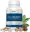 Well of Life ParaPurify 120 Mimosa Pudica Black Walnut Supplement – Digestive Health Support & Herbal Cleanse Formula | Supports Gut Health & Internal Clarity | Organic Non-GMO Vegan Capsules