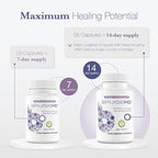 Bromelain 500mg 2,400GDU/g Supplement with Zinc and Vitamin C for Swelling, Inflammation, and Discoloration, Easy to Swallow Capsules (7-Day Supply) - Advanced Formula