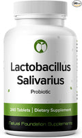 Lactobacillus Salivarius Probiotic 240 Tablets (4 Month Supply) – Researched Strain LS97 – 3 Billion CFU – Digestive & Oral Health Support – GMP Certified (240, Lactobacillus Salivarius)