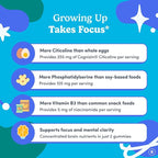 FIRST DAY Teen Brain & Focus Supplement Gummies Ages 13–18 | Study & Concentration Support with Cognizin® Citicoline & Phosphatidylserine | Vegan, Non-GMO, Caffeine-Free | 30-Day Supply