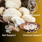 Lion’s Mane Extract Capsules for Brain Health