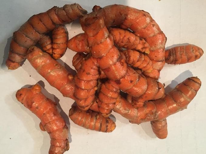 Fresh Organic Turmeric Root - 2 Lb Whole Raw Root