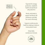 Swanson Vitamin B12 Cyanocobalamin Energy and Nervous System Supplement for Adults Seeking Metabolic and Heart Health Support - 500 mcg (250 Vegan Capsules)