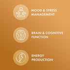 Dr. Mercola Organic Maca - Supports Energy & Stress Response - Peruvian Gelatinized Maca Root - USDA Organic - Non-GMO - 60 Capsules