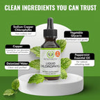 Benevolent Nourishment Chlorophyll Supplement, Detox & Immune Support, Internal Deodorizer, Liquid Drops