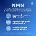 NMN 750mg Per Capsule - 99% Pure Nicotinamide Mononucleotide - Increased NAD+, Mitochondrial Function, Healthy Aging, Brain Health & Energy Support - 60 Capsules, Non GMO, Gluten Free Supplement