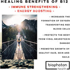 Liposomal Vitamin B12 Liquid Supplement - Bioactive Methyl Blend - Vegan & Non GMO - Organic Glycerin & Sugar Free (2 Fl Oz)