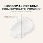 Codeage Liposomal Creatine Powder Supplement, Pure Creatine Monohydrate 5000mg, Pre Workout & Post Workouts - Unflavored Creatine, Micronized Creatine Powder - Creatinine for Sports - 30 Servings