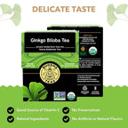 Buddha Teas - Ginkgo Biloba - Organic Herbal Tea - For Cognitive Balance & Overall Health - With Vitamin C - Energizing Blend - Caffeine Free - 100% Kosher & Non-GMO - 18 Tea Bags (Pack of 1)