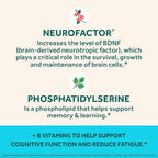 NEURIVA Plus Brain Supplement for Memory, Focus & Concentration + Cognitive Function with Nootropics Phosphatidylserine and Neurofactor, VIT B6 & B12, Strawberry Flavor, 50 Gummies (3 Pack)