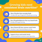 FIRST DAY Kids Focus & Brain Supplement Gummies Ages 4+ | Attention & Calm Support with Cognizin® Citicoline & Phosphatidylserine | Organic, Vegan | 30-Day Supply