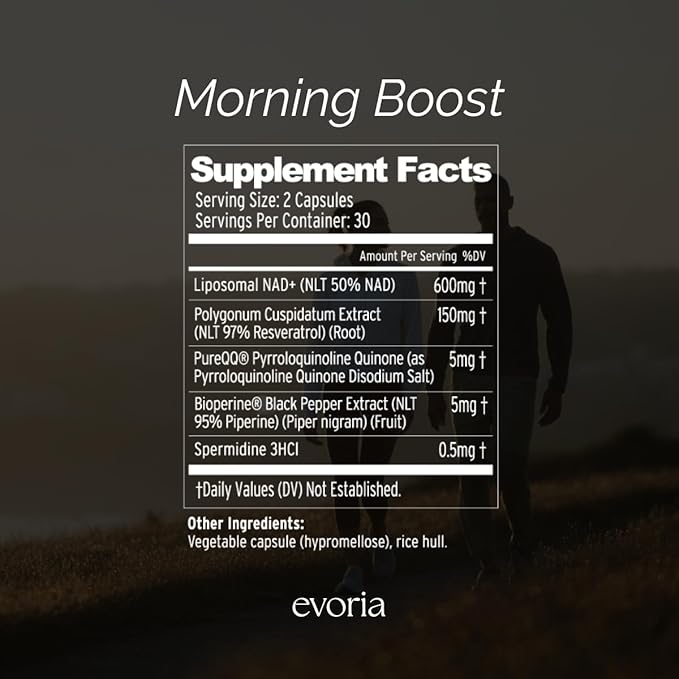 Evoria Morning Boost Capsules – Clinically Formulated – NAD+, Resveratrol, PQQ & Spermidine for Cellular Energy, Mitochondrial Support & Daily Vitality | 30 Servings