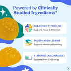 FIRST DAY Teen Brain & Focus Supplement Gummies Ages 13–18 | Study & Concentration Support with Cognizin® Citicoline & Phosphatidylserine | Vegan, Non-GMO, Caffeine-Free | 30-Day Supply