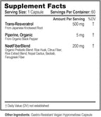 NOOT Trans Resveratrol Supplements 500mg High Purity Capsules for Longevity, Anti Aging, Brain & Heart Support, Cellular Health, Vegan Supplements & Antioxidants, Biohacking & Nootropics, 60 Capsules