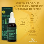 Brazilian Green Canastra Propolis Extract, Herbal Supplement, 20% Pure Propolis, Rich in Artepillin-C, Immune Support, 30ml/1 Fl Oz, Liquid Drops