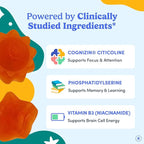 FIRST DAY Kids Focus & Brain Supplement Gummies Ages 4+ | Attention & Calm Support with Cognizin® Citicoline & Phosphatidylserine | Organic, Vegan | 30-Day Supply