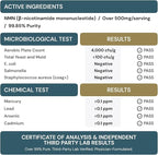 NMN 500mg – 99%+ Purity Verified, Physician Formulated Nicotinamide Mononucleotide for NAD+ Support & Healthy Aging – Vegan, Non-GMO, No Seed Oils, cGMP Made in USA – 60 Capsules
