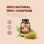 Sea Moss Capsules with Burdock Root, Bladderwrack & Muira Puama support immunity, gut health & energy. Made with raw Irish sea moss powder-120 nutrient-rich superfood capsules-60 Capsules
