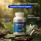 Professional Botanicals Mineral Complex - Trace Minerals, Kelp, Spirulina Nutrient Blend - 90 Vegetarian Capsules