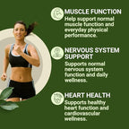New Roots Herbal Magnesium Bisglycinate Plus, 120 Veggie Capsules 60-Day Supply - 150mg Elemental Magnesium, Supports Active Living, Non-GMO, Gluten-Free, Gentle on Digestion with Superior Absorption
