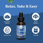 Natures Craft High Absorption L-Theanine Liquid Drops - Nootropic Focus Supplement with L Theanine 200mg Per Serving and Chamomile Extract - Adults and Kids Relaxation and Focus - 2 Fl Oz (3 Pack)