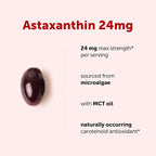 Micro Ingredients Astaxanthin 24mg with MCT Oil, 90 Softgels | Max Strength Astaxanthin Antioxidant Supplements* | Fresh Microalgae Source | Non-GMO, Gluten Free, No Soy