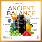 Whole Food Vitamin C Supplement 675mg – Plant Based Vitamin C Complex from Organic Oranges, Acerola Cherry & Natural Fruit Cofactors – Immune & Antioxidant Support – Vegan, Non-GMO – 120 capsules
