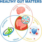 Well of Life Biome Renew 4 - All-in-one Digestive & Gut Health Formula - w/Digestive Enzymes Prebiotics & Probiotics for Healthy Gut Biome for Men and Women - Supports Gut Lining, Gas & Bloating