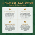 Purity Products Advanced Digestive Enzymes with Probiotics & Prebiotics – Digestive Health Supplement for Bloating, Gas Relief & Gut Support – Plant-Based Enzymes + 1.5B CFUs 60 Veggie Capsules