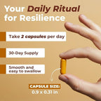 Vital Turmeric Curcumin Supplement – 1310 mg Blend with 95% Curcuminoids & Curcumin with Black Pepper – Joint, Brain, Immune & Anti-Aging Support – Non-GMO, Gluten-Free – 30 Day Supply