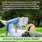 All Natural Multivitamins & Minerals + B Complex + Calcium + Magnesium + Zinc, 100% Vegan Sourced Whole Food Supplement, Complete Nutritional Support for Men & Women, 2 Month Supply, 120 Softgels