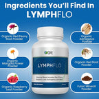 LymphFlo: Herbal Support for Detox, Immunity & Well-Being. Formulated with PAU d’Arco, Cleavers & Red Peony Root in 1100mg, 180 V-Capsules to Optimize Lymphatic Function, Enhance Vitality