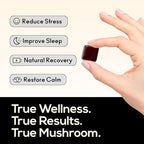 TrueMushroom - Sleep Support Mushroom Gummy Supplement with Melatonin for Sleep and Relaxation with Lion’s Mane, Cordyceps, Reishi, Shiitake. All-Natural, BlackBerry Flavor Gummies (60 Count)