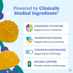 FIRST DAY Men’s Daily Nootropic Brain Supplement Gummies for Focus, Memory & Mental Energy | with Cognizin® Citicoline, Phosphatidylserine & Natural Caffeine | Vegan, Allergen-Free | 30-Day Supply