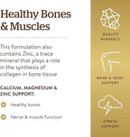 Solgar Calcium Magnesium Plus Zinc, 250 Tablets - Promotes Healthy Bones and Teeth - Supports Nerve & Muscle Function - Non GMO, Vegan, Gluten Free, Dairy Free, Kosher, Halal - 83 Servings