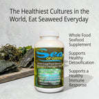 Sea of Greens – Organic Seaweed & Algae Superfood Blend – Spirulina, Chlorella, Bladderwrack, Wakame – Natural Iodine & Fucoidan – Oxalate-Free – 180 Vegetable Capsules - 3 Pack