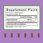 Doctor's Recipes Grape Seed Extract and Alpha GPC Choline Supplement