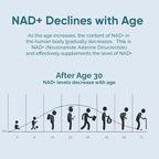 NAD+ Supplement 1000mg, Premium NAD+ & Resveratrol Complex for Energy & Anti Aging - 120 Capsules