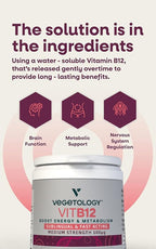 Vegan Vitamin B12 Sublingual Supplement — for Metabolism & Energy, Vitamins & Health Supplements — (60 Tablets)