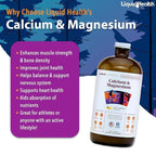LIQUIDHEALTH Calcium & Magnesium Adult Liquid Vitamin Supplement - Bone, Joint, Muscle, Connective Tissue Support, Heart Health, Essential Nutrients - Made in USA, Vegan, Non GMO, No Sugar (3 Pack)