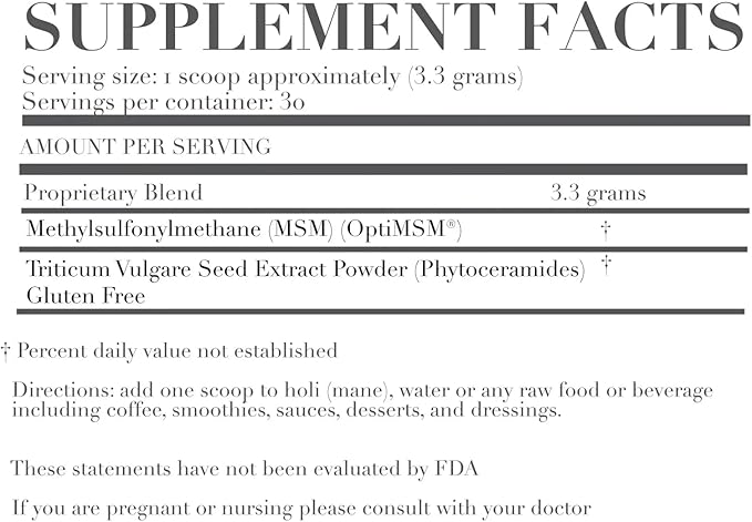 Agent Nateur - Holi (Radiance) Beauty from Within, OptiMSM + Ceramides Supplement | Vegan, Non-Toxic, Clean Skincare (3.5 oz | 99 g)