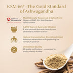 VAHDAM Ashwagandha Coffee with Turmeric, Lion’s Mane & Chaga Mushroom | Clinically Proven KSM 66 Ashwagandha & Pure Arabica Coffee | Stress & Cortisol Support, Better Energy - 40 servings
