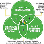 Noobru™ - Better Than - Resveratrol – Powerful Polyphenol Supplement with Fisetin & Mango Flavor for Longevity, Cellular Health, Brain Function & Anti-Aging Support