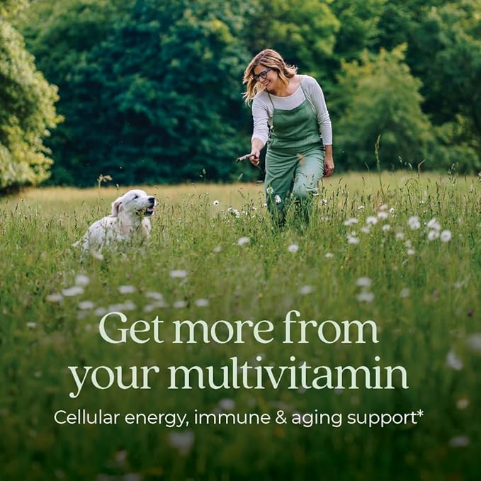 New Chapter Women’s Multivitamin 40+, extra B6 & B12, Biotin for Hair Growth, D3, Vit C, Zinc for Immune & Stress Support, Gentle on an Empty Stomach, One Daily, Non-GMO, Gluten-Free, 48 Tablets