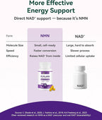 Inner Brightness NMN Supplement 500mg, 99.9% High Purity, Supports NAD+ Levels & Cellular Energy, 5-in-1 Formula with Resveratrol & Astaxanthin, Non-GMO, Gluten-Free, 60 Capsules