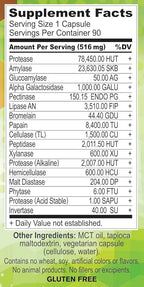 Body Ecology Assist Full Spectrum Enzymes | Plant Digestive Enzyme Supplement | Healthy Digestion and Absorbs Nutrients | 90 Vegetarian Count